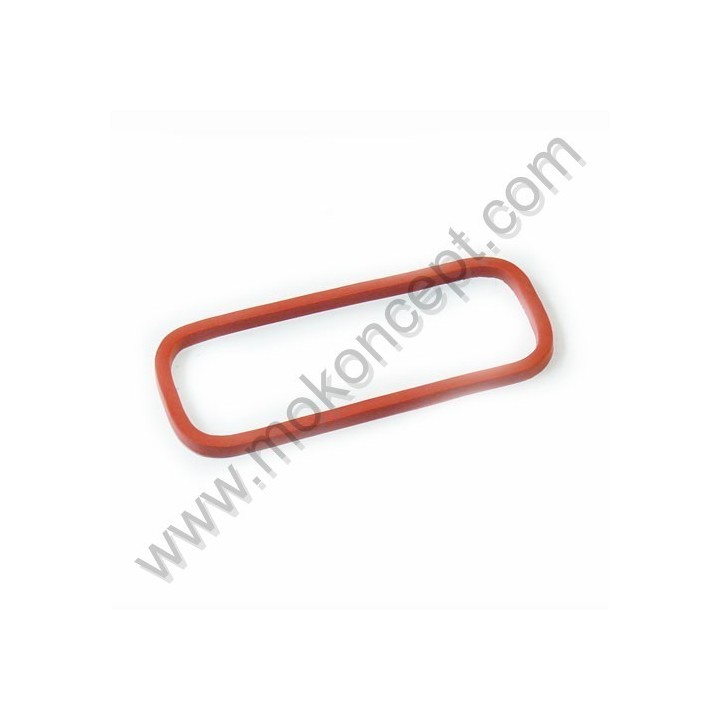 Gasket de trappe de visite