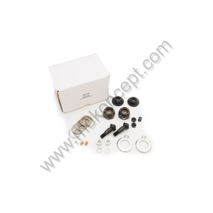 Set de rotule de pivot