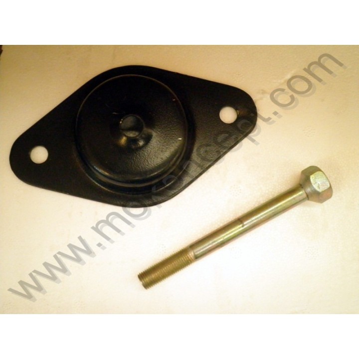 Fixation roue de secours Moke 1986/95